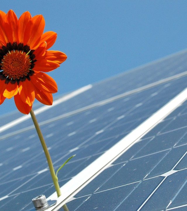 solar, photovoltaic, renewable